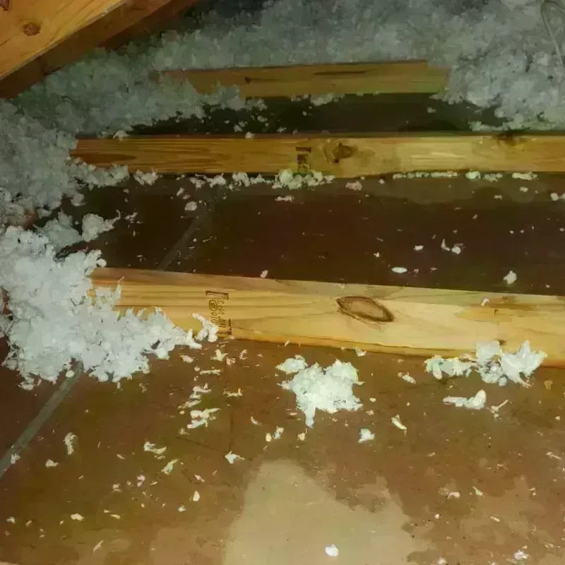 Attic Water Damage in Vega Baja, PR